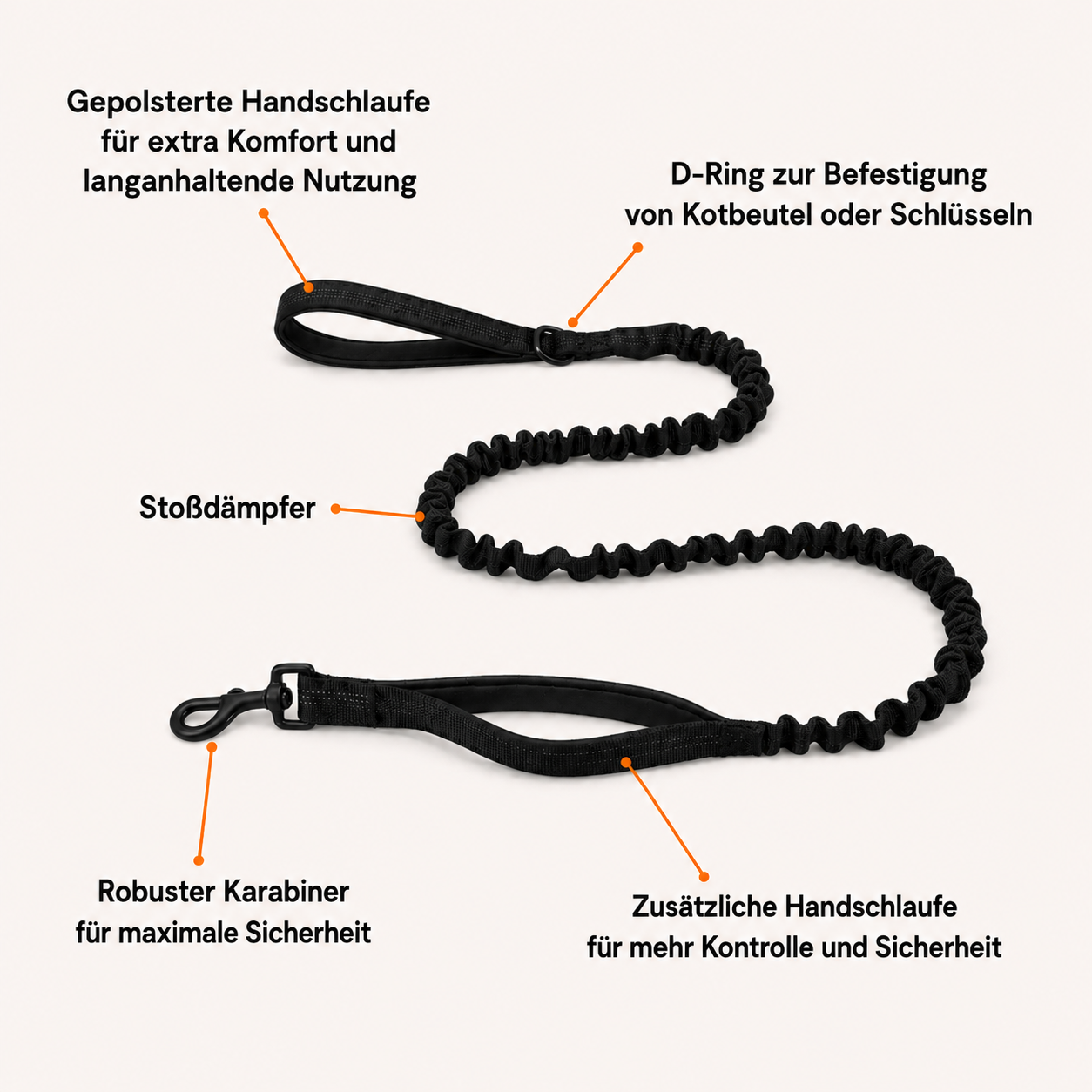 TragPet Bungee-Hundeleine GRATIS