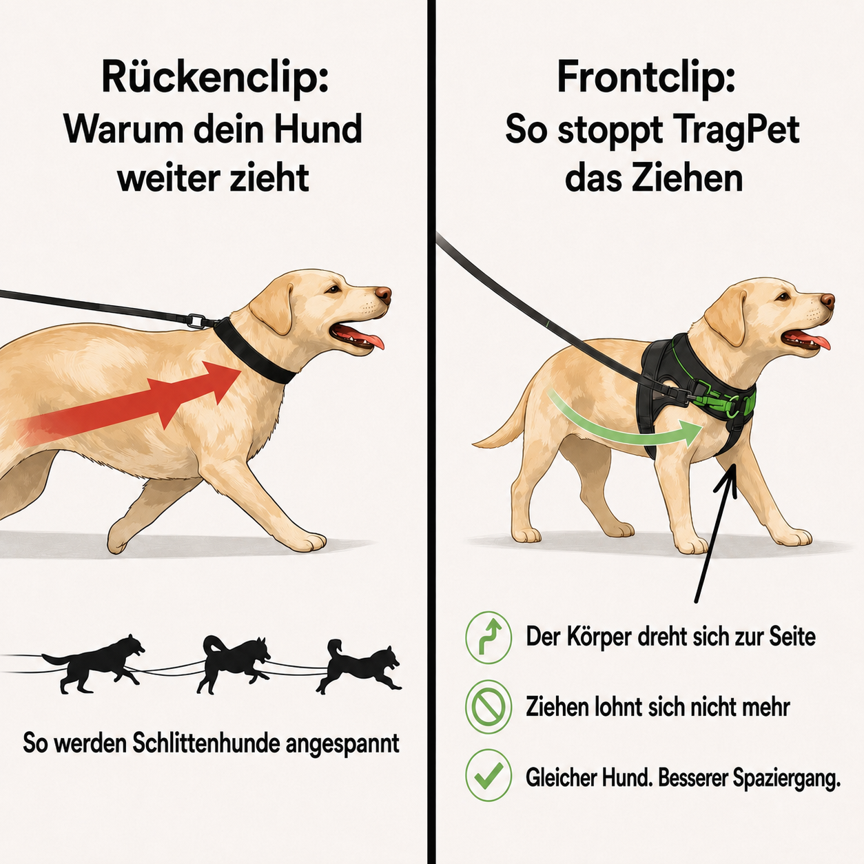TragPet Anti-Zug Hundegeschirr