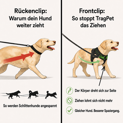 TragPet Anti-Zug Hundegeschirr