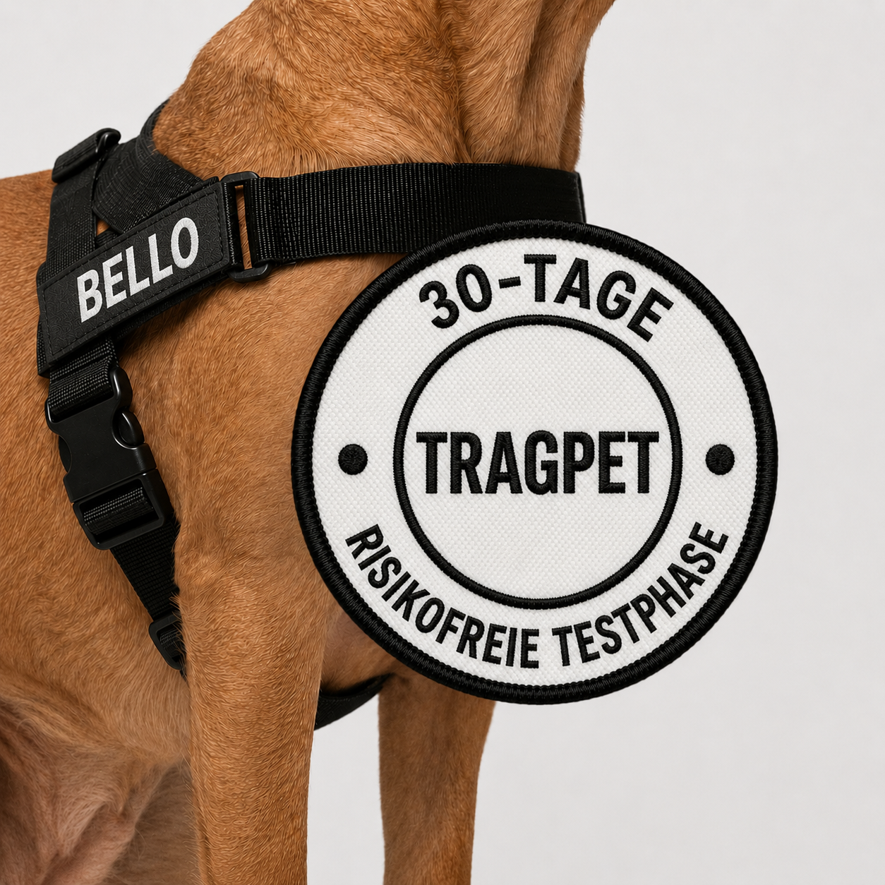TragPet Anti-Zug Hundegeschirr