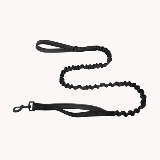 TragPet Bungee-Hundeleine