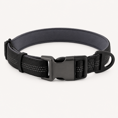 TragPet Essentials Hundehalsband
