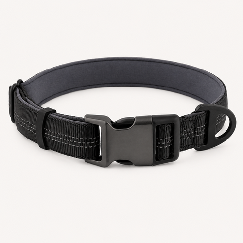 TragPet Essentials Hundehalsband
