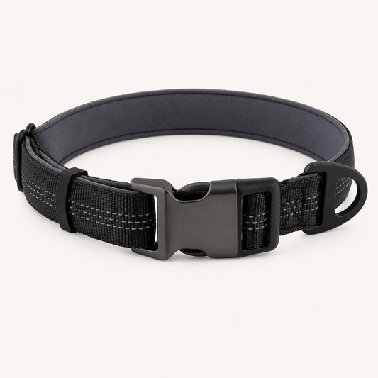 TragPet Essentials Hundehalsband