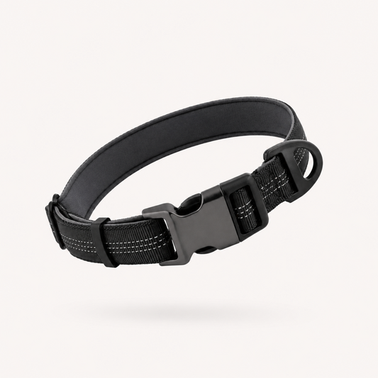TragPet Essentials Hundehalsband