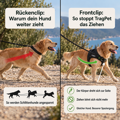 TragPet Anti-Zug Hundegeschirr
