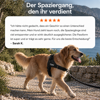 TragPet Anti-Zug Hundegeschirr