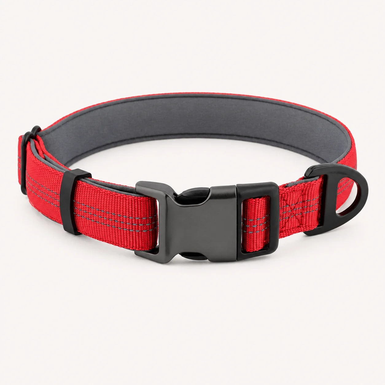 TragPet Essentials Hundehalsband