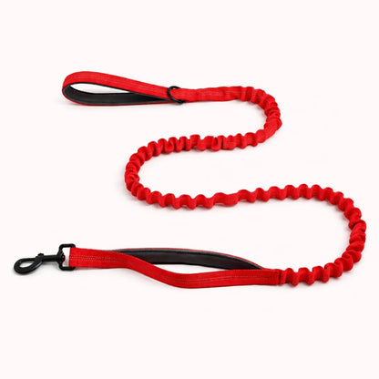 TragPet Bungee-Hundeleine GRATIS