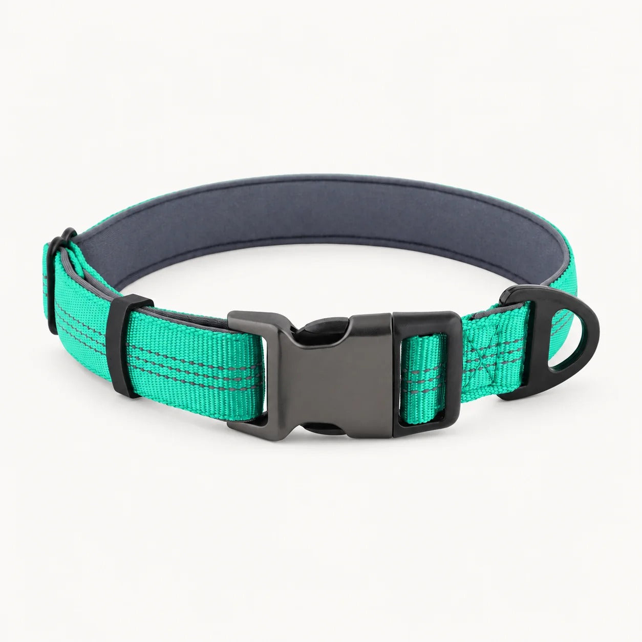 TragPet Essentials Hundehalsband