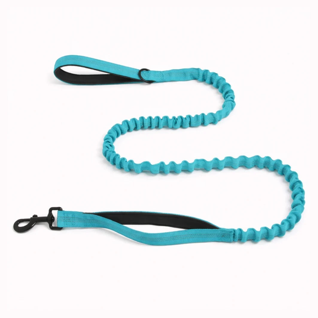 TragPet Bungee-Hundeleine GRATIS