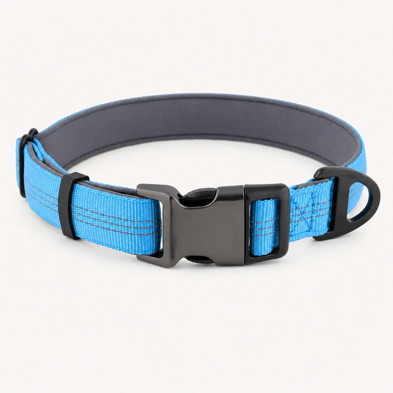 TragPet Essentials Hundehalsband