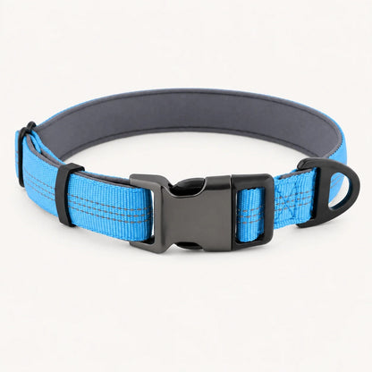 TragPet Essentials Hundehalsband