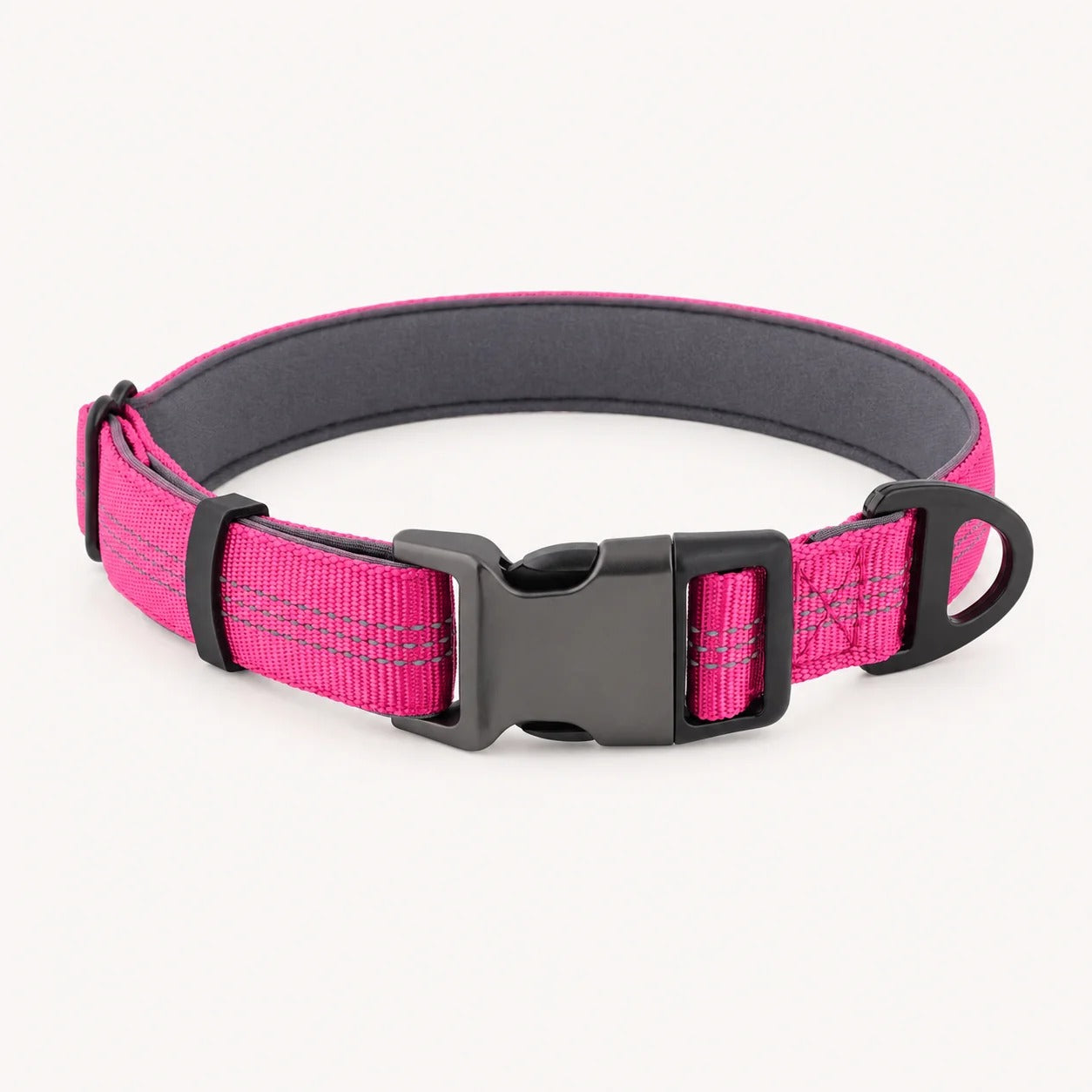 TragPet Essentials Hundehalsband