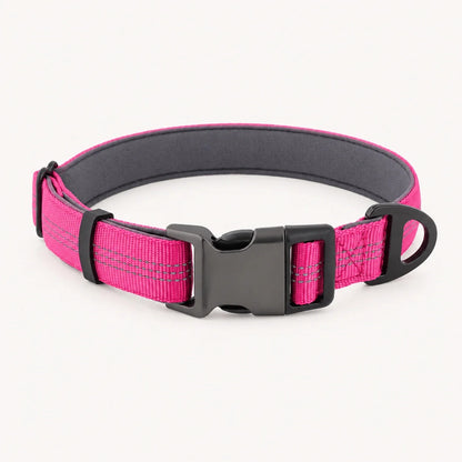 TragPet Essentials Hundehalsband