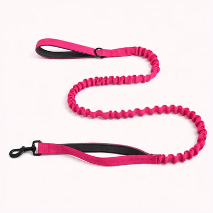 TragPet Bungee-Hundeleine GRATIS