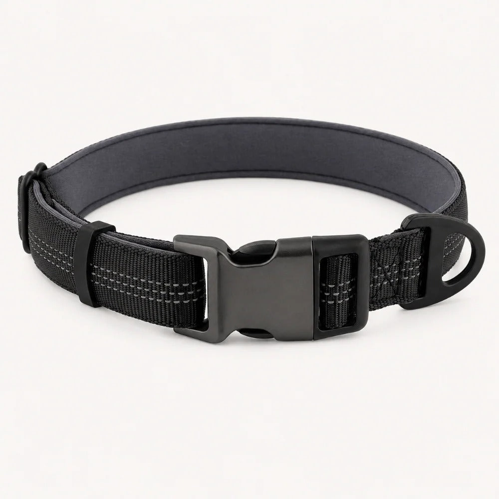 TragPet Essentials Hundehalsband