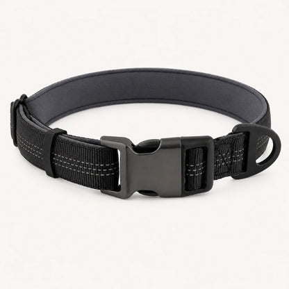 TragPet Essentials Hundehalsband