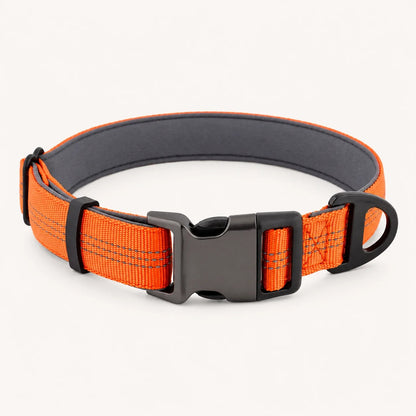 TragPet Essentials Hundehalsband