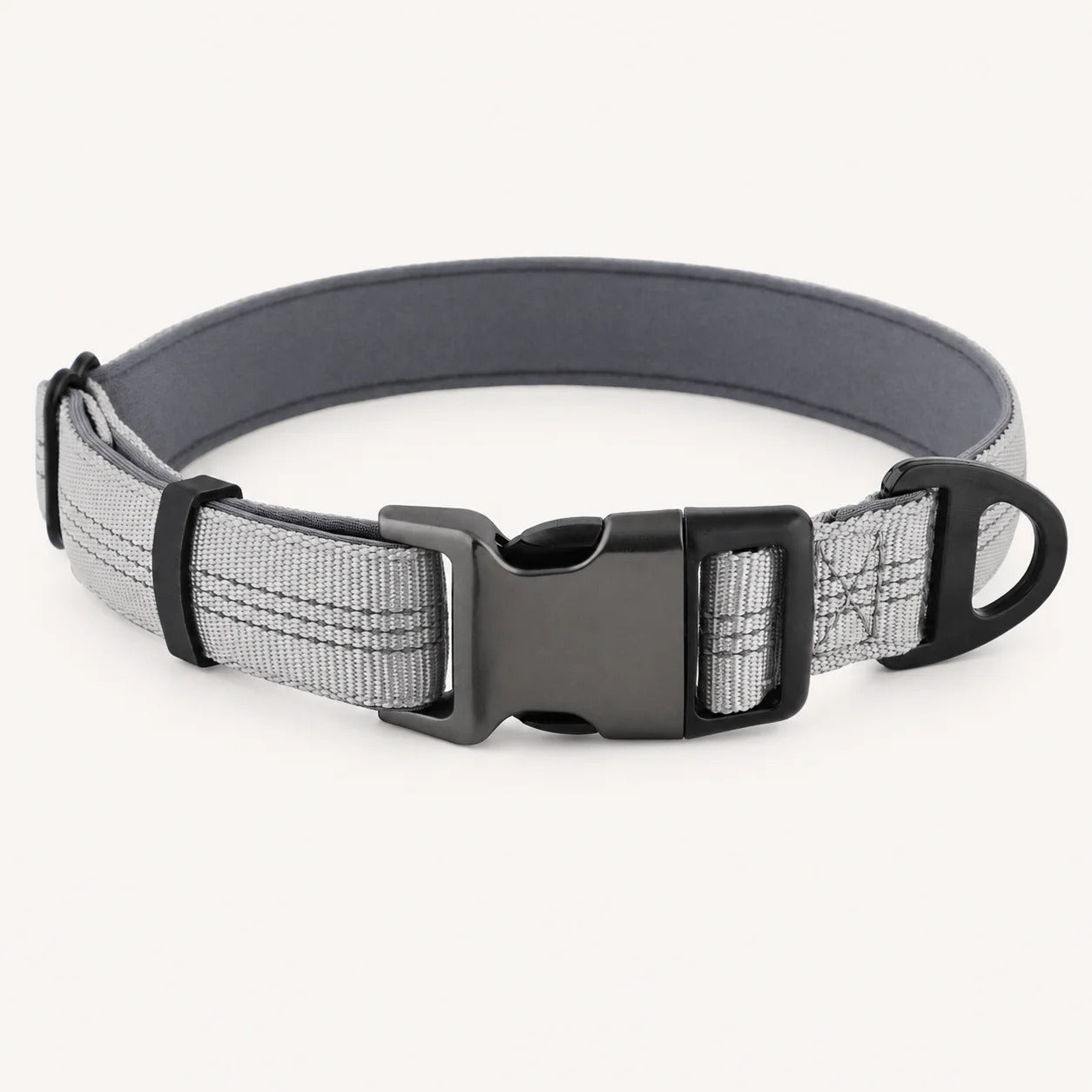 TragPet Essentials Hundehalsband