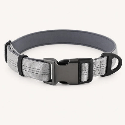 TragPet Essentials Hundehalsband