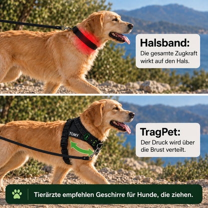 TragPet Anti-Zug Hundegeschirr